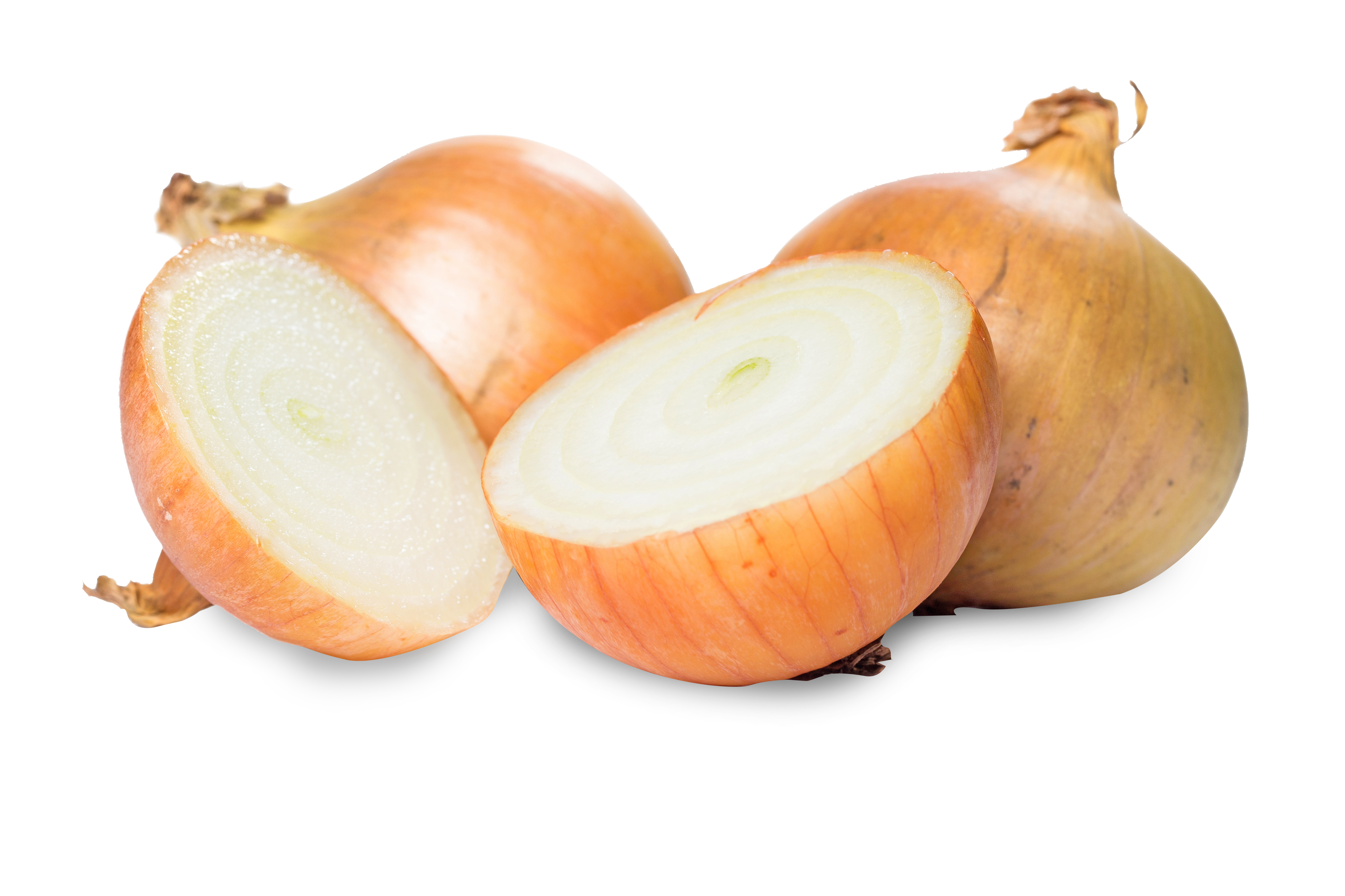 onions, whole and sliced